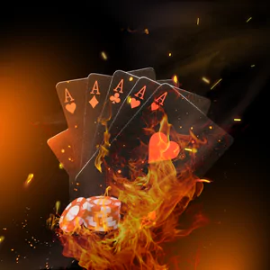 쇼미더벳 신규 회원 혜택 완벽 가이드